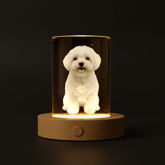 Columnar Crystal Pet Photo Ornament
