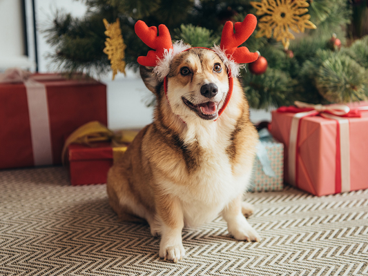 🎄 Best Christmas Gift for Dog Owners: Why a Custom Pet Figurine Is the Most Meaningful Gift in 2025