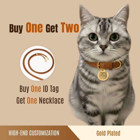 Custom Pet ID Tags | Buy 1 Get 2