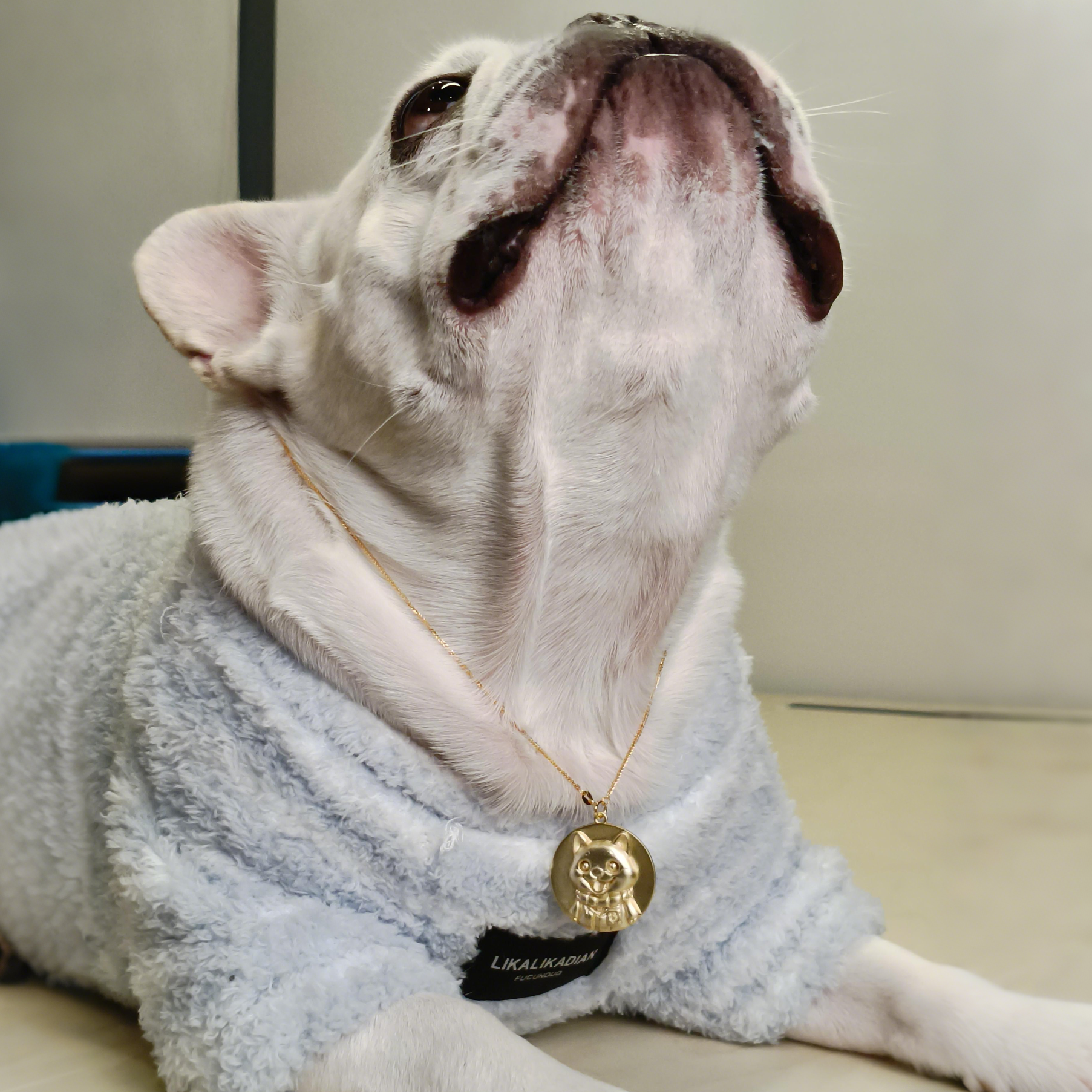 Custom Pet Relief Necklace | Buy 1 Get 5