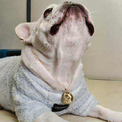 Custom Pet Relief Necklace | Buy 1 Get 5