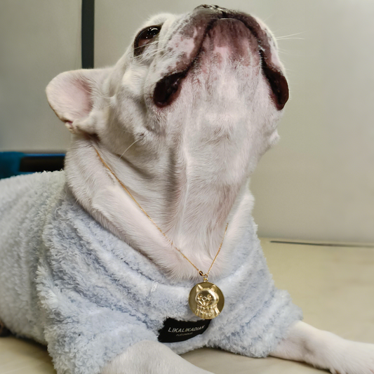 Custom Pet Relief Necklace | Buy 1 Get 5