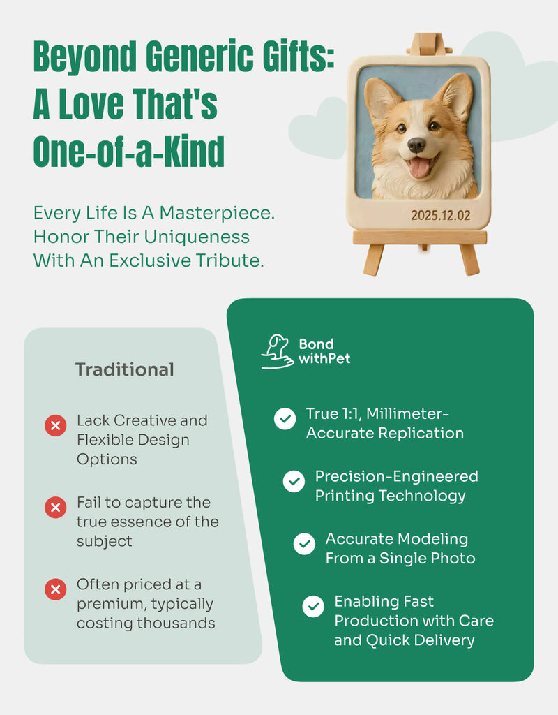 Custom 3D Portrait 对比图