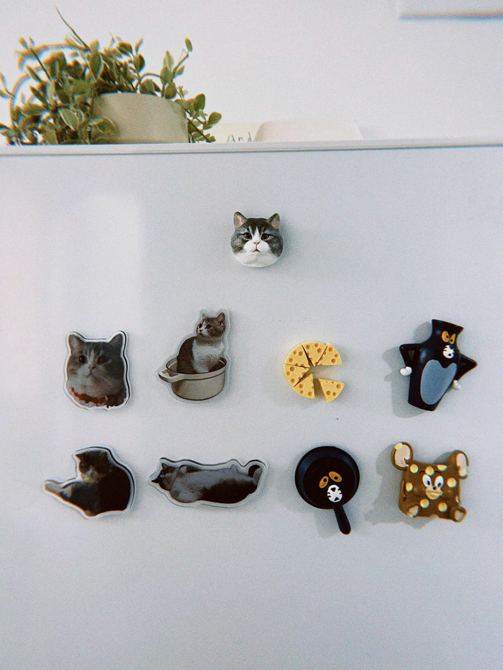 Customized Pet Refrigerator Magnet