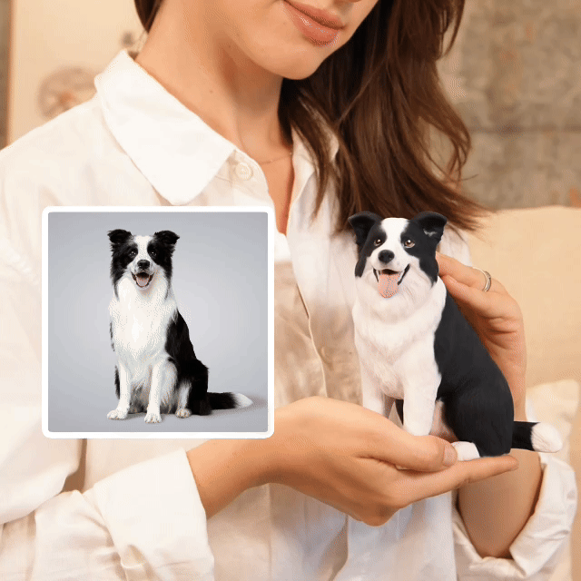 Custom Border Collie Figurine| 25% Off