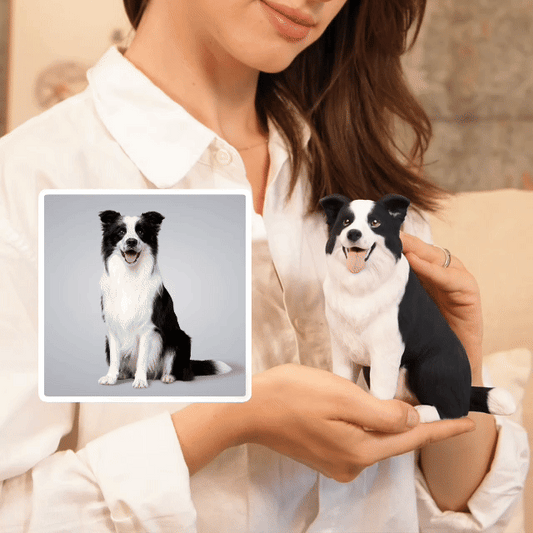 Custom Border Collie Figurine| 25% Off