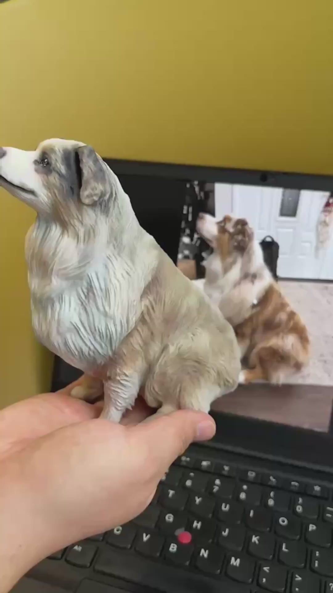 Custom Border Collie Figurine| 25% Off